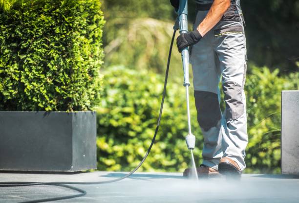 Best Sidewalk and Walkway Cleaning  in Lakeland North, WA