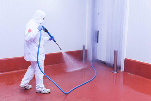 Best Boat and Dock Cleaning  in Lakeland North, WA